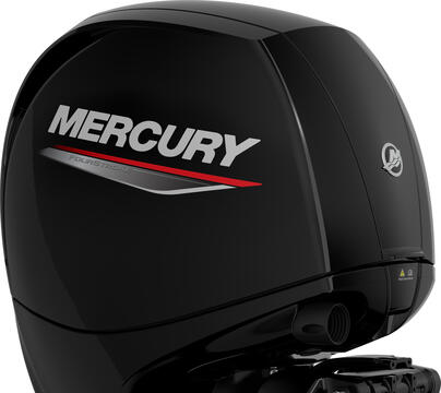Mercury F 150 L EFI