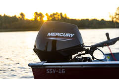 Mercury F 30 ELPT EFI HD - фото 4