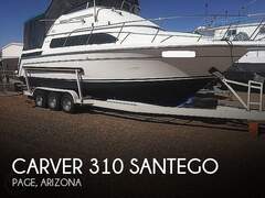 Carver 310 Santego - image 1