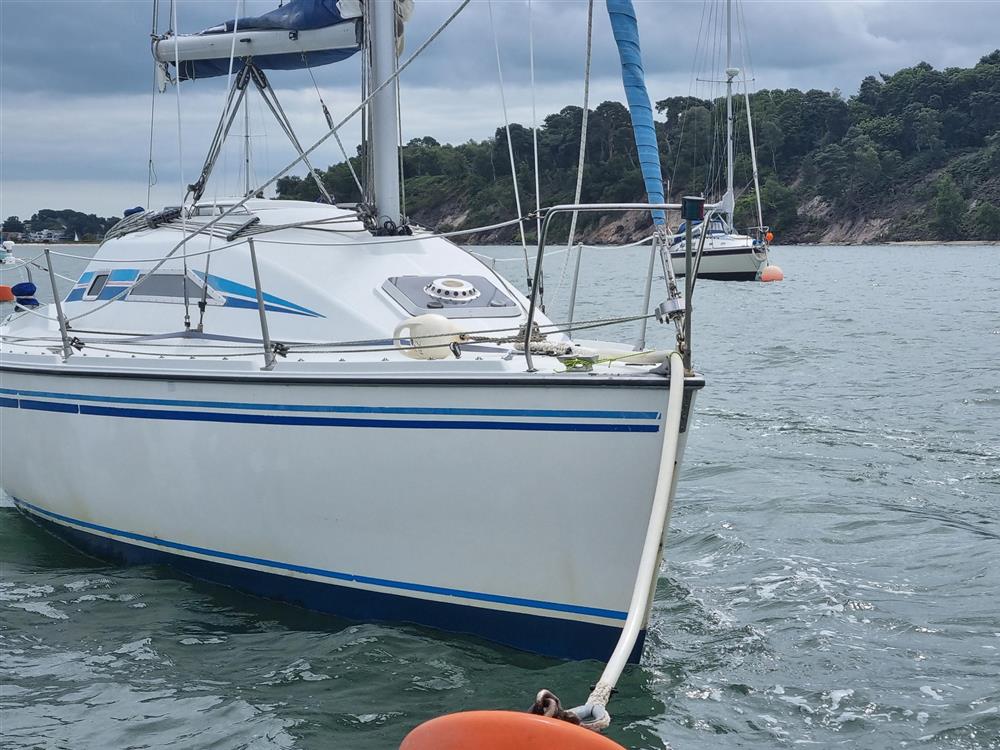 MG Spring 25 (sailboat) for sale