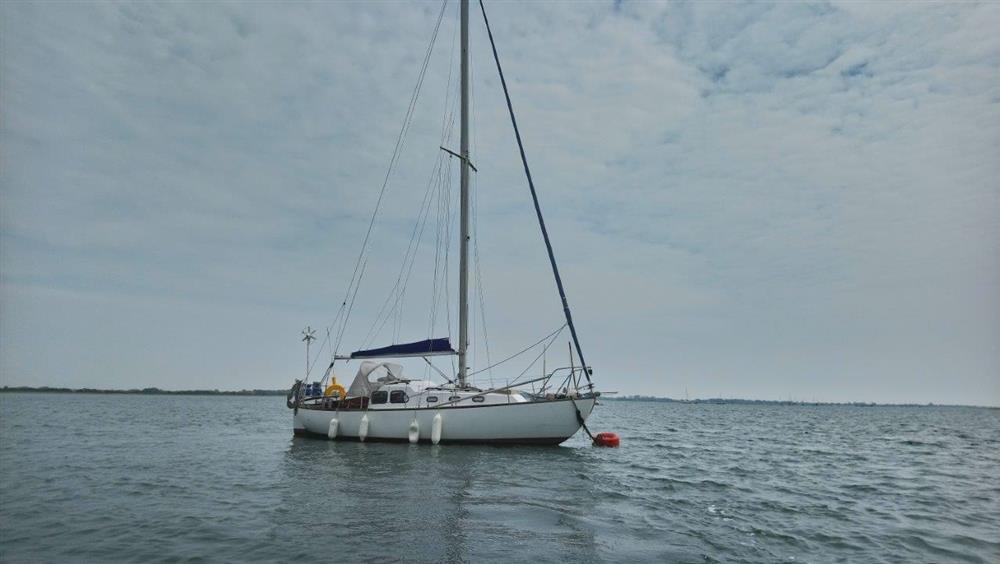 Sagitta 30 (sailboat) for sale